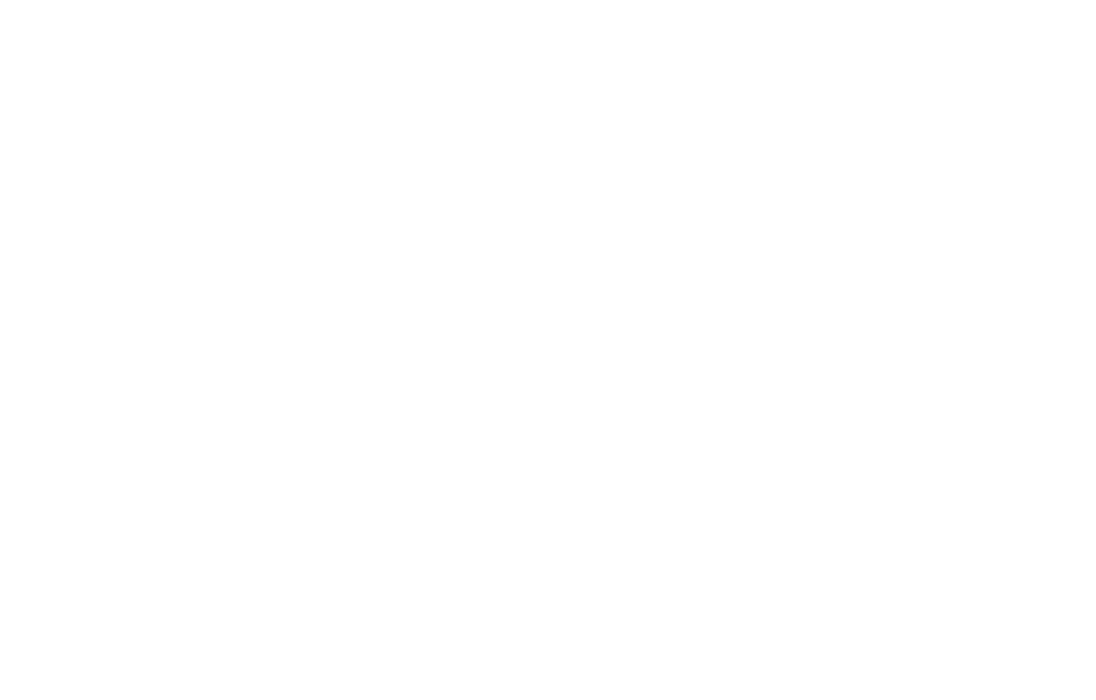 dhiraagu logo