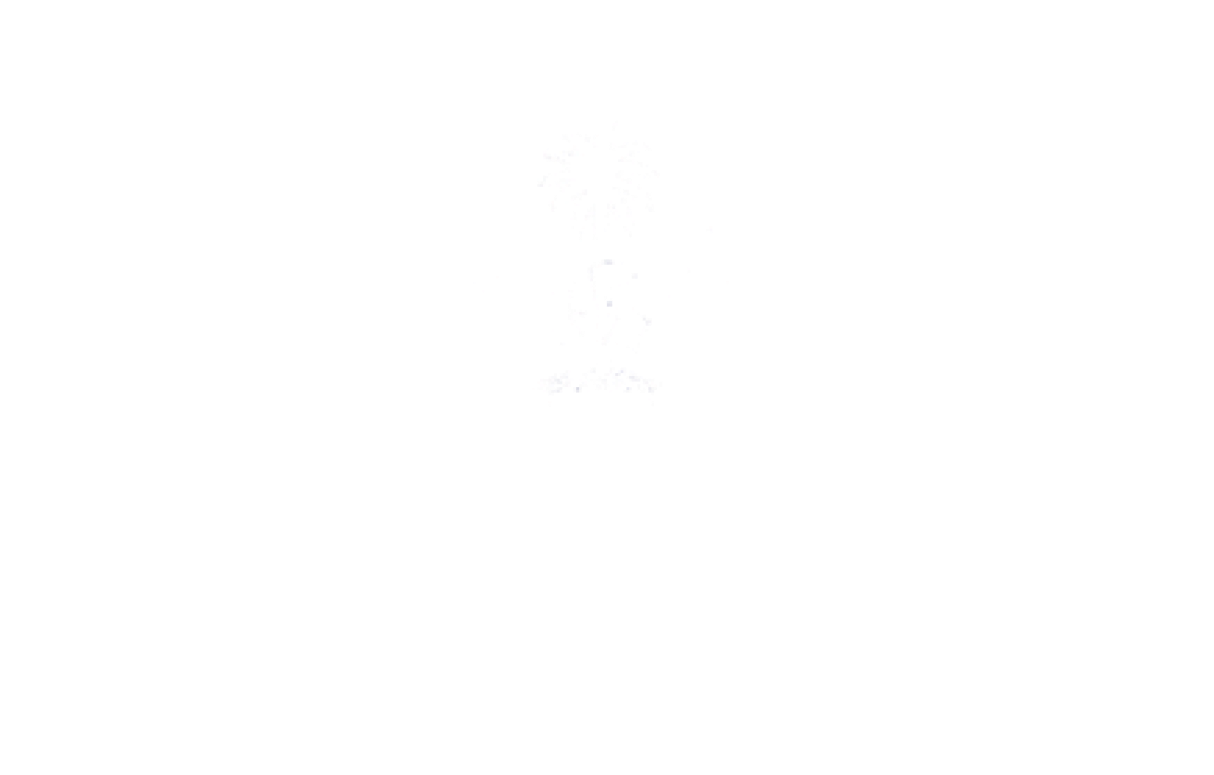 National Centre for Information Technology logo